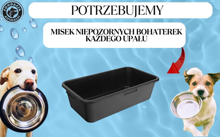 Plakat z prośbą o miski dla psów w upalne dni.