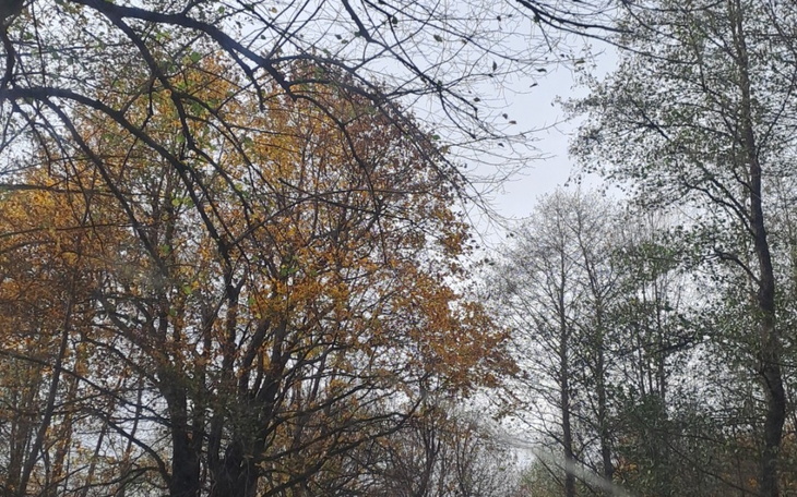 Zbiórka Moja mama nie ma za co żyć - zdjęcie główne