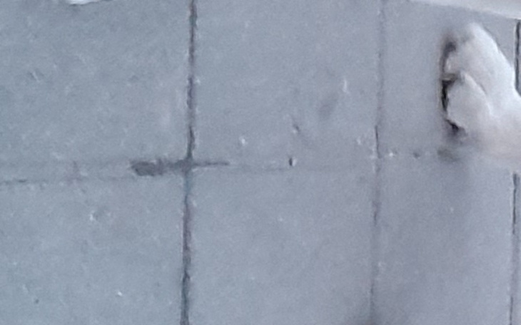 Zbiórka Zbiórka zakończona sukcesem - zdjęcie główne