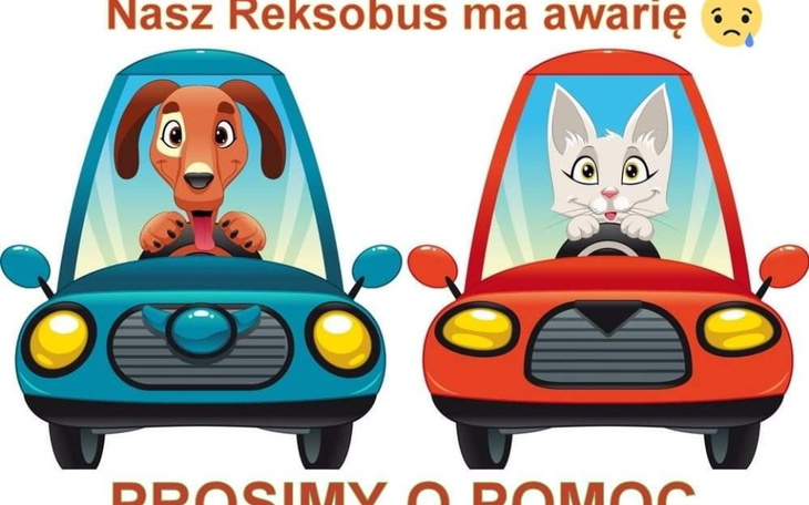 Zbiórka Nasz REKSOBUS SIĘ ZEPSUŁ, POMOCY - zdjęcie główne