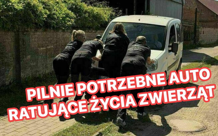 Grupa kobiet popychających samochód, z napisem o potrzebie pomocy.