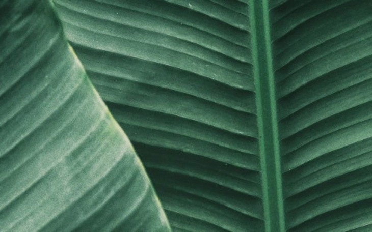 Zbiórka cash... - zdjęcie główne