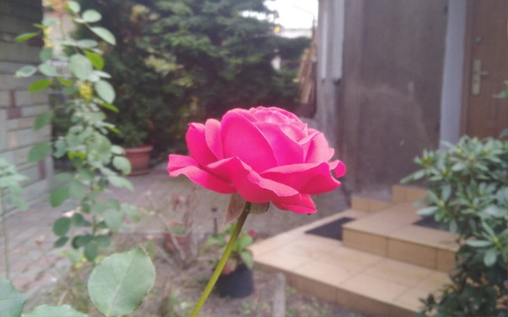 Zbiórka Zbieram na laptop i telefon - zdjęcie główne