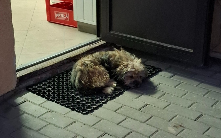 Zbiórka Śmierć czycha na chodniku - zdjęcie główne