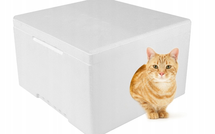 Zbiórka Zdążyć przed największym mrozem - zdjęcie główne