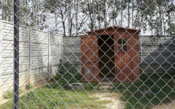 Zbiórka Bieg Wegański 9 - zdjęcie główne