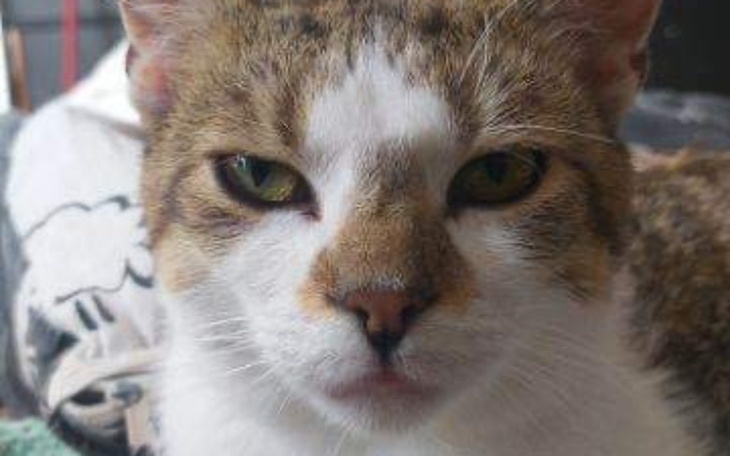 Zbiórka Życie Zawodnika - zdjęcie główne