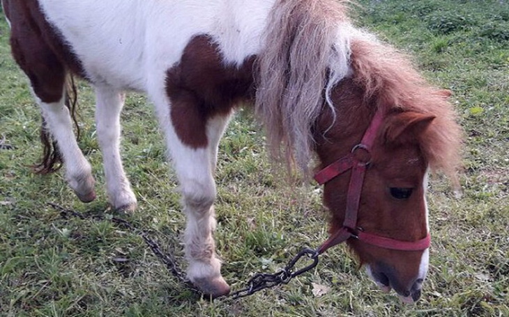 Zbiórka Prosimy - symbolicznie... - zdjęcie główne