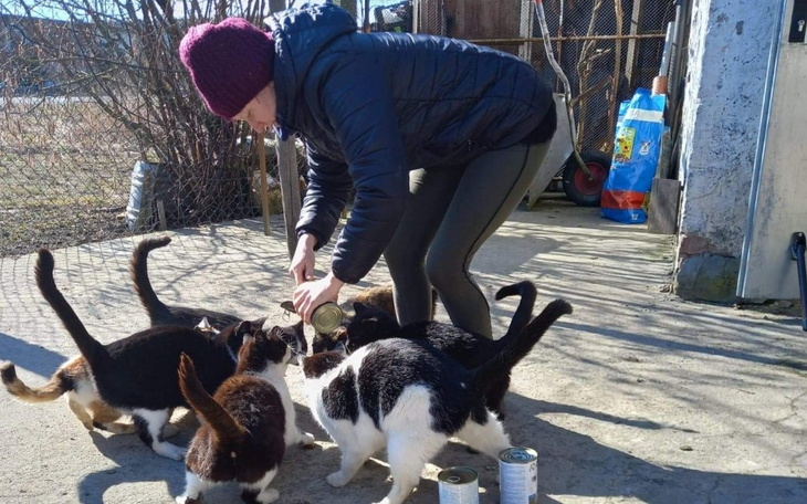Zbiórka Bezdomniaki Głodniaki - zdjęcie główne