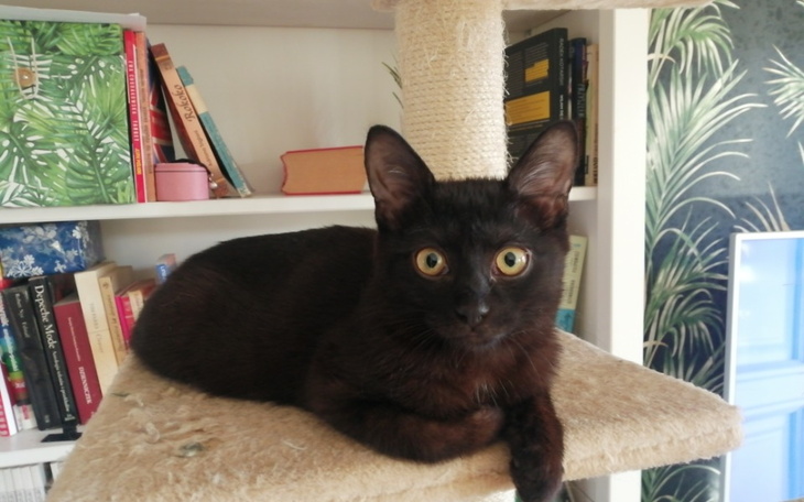 Zbiórka Twoje 10zł może uratować Rokitę - zdjęcie główne