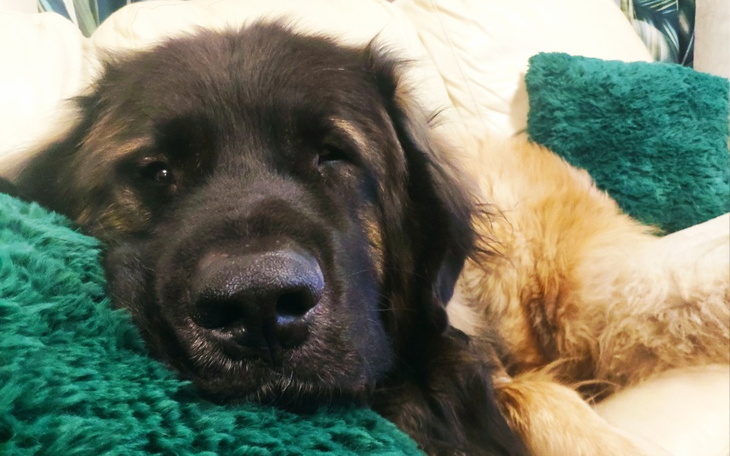 Zbiórka Ciuchy dla dzieci - zdjęcie główne