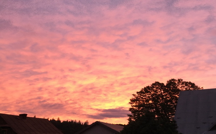 Zbiórka Prezent dla babci na urodziny - zdjęcie główne