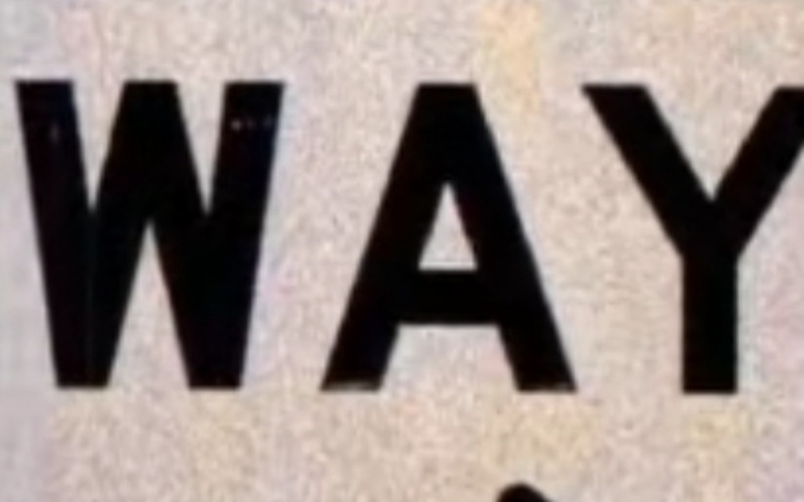 Zbiórka Na psc pomożesz Bo możesz - zdjęcie główne