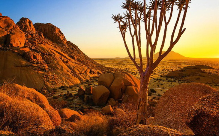 Zbiórka Podbój Afryki - zdjęcie główne