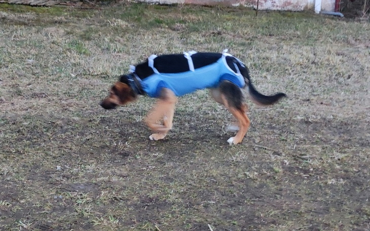 Zbiórka Karma, miski, wet - zdjęcie główne