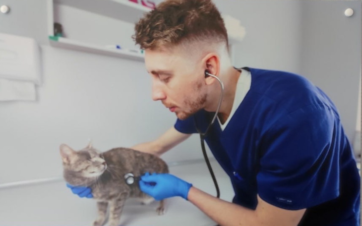 Zbiórka Pomóż mi wziąć udział w WSAVA 2026 w Warszawie - zdjęcie główne