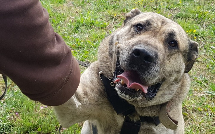 Zbiórka Arbuz zbiera na leczenie - zdjęcie główne