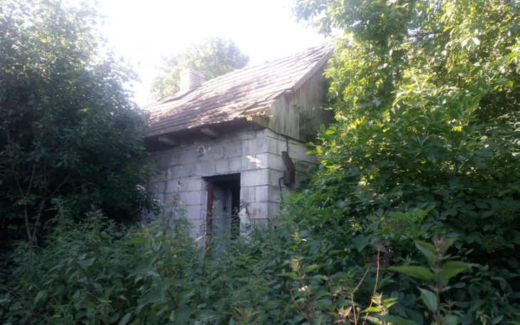 Zbiórka Powrót do zdrowia remot domku - zdjęcie główne