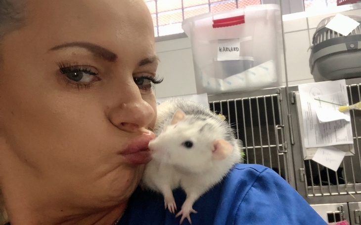 Zbiórka Zbiórka urodzinowa-dt Ogoniaste - zdjęcie główne