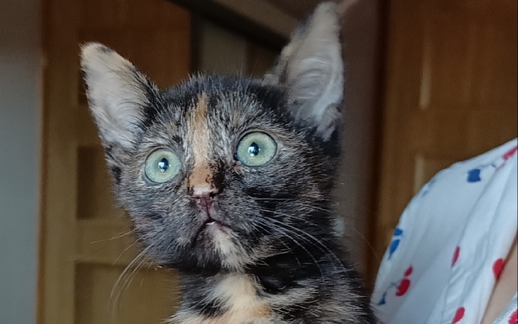 Zbiórka Bona zbiera na profilaktykę - zdjęcie główne