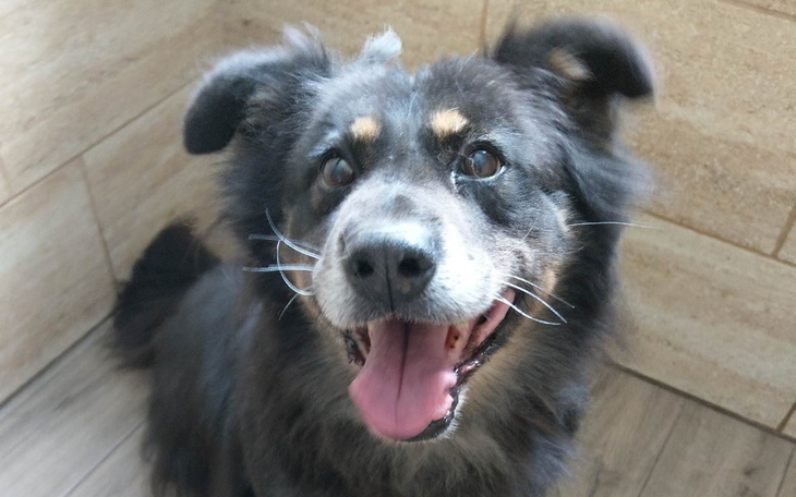 Zbiórka Hotelik Marcela za maj, czerwiec - zdjęcie główne