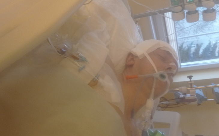 Kotek leżący na poduszce, z zamkniętymi oczami.