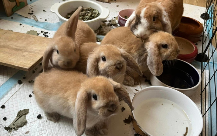 Zbiórka Barankowa rodzinka - zdjęcie główne