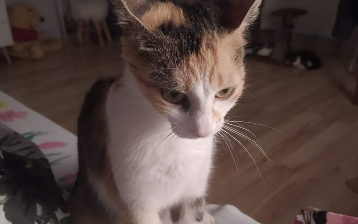 Zbiórka Ratujmy Marysię - zdjęcie główne