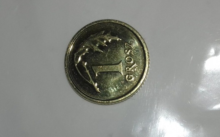 Zbiórka Na Głupoty ;) - zdjęcie główne