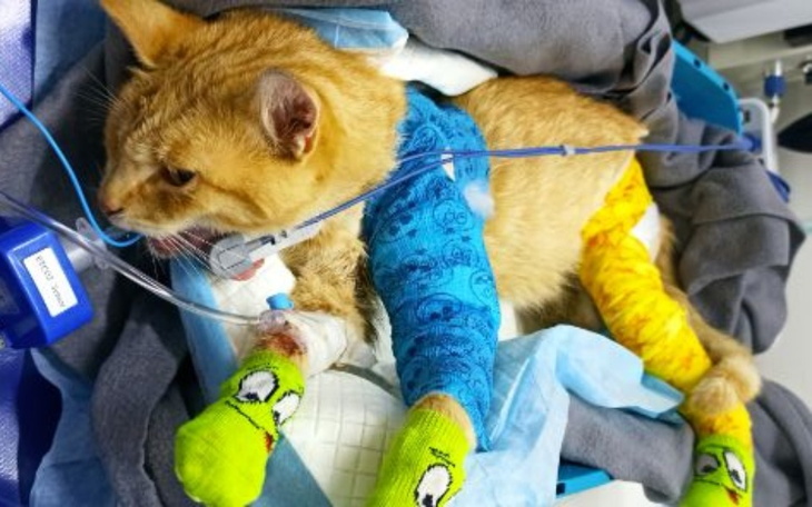 Zbiórka Niechciany po wypadku... - zdjęcie główne