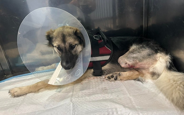 Zbiórka W drodze do szczęśliwego życia - zdjęcie główne