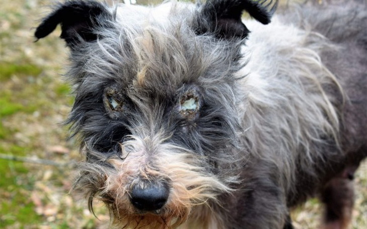 Zbiórka Nawet śmierć o mnie zapomniała - zdjęcie główne