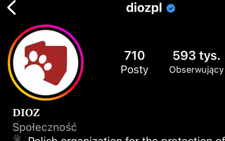 Zbiórka Na pomoc zwierzętom z dioz - zdjęcie główne