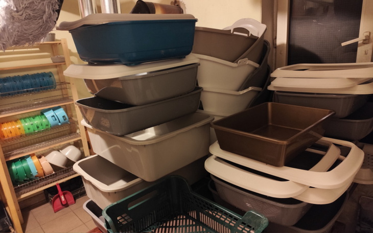 Zbiórka Lokal i woda w październiku 2024 - zdjęcie główne