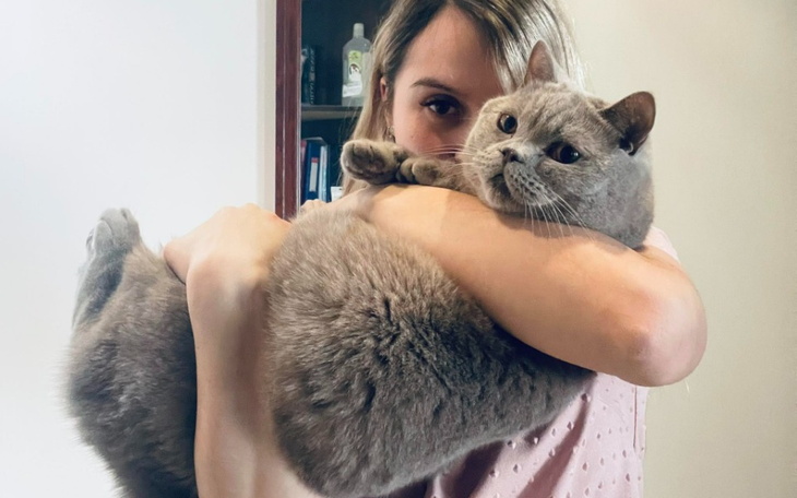 Zbiórka Luki-Zakaźne zapalenie otrzewnej - zdjęcie główne