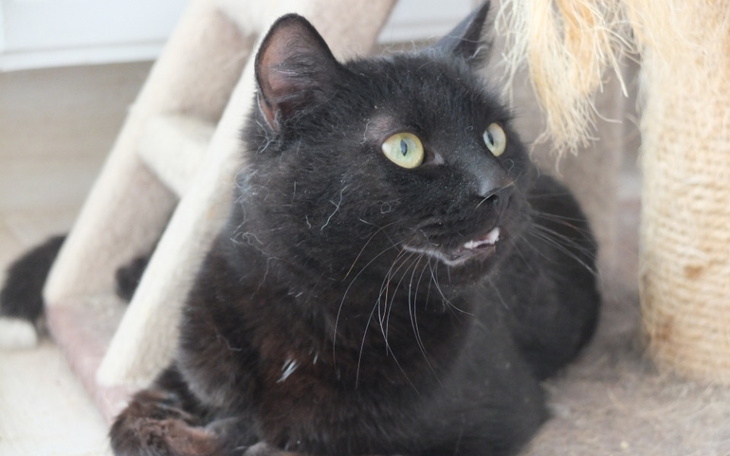 Zbiórka Odmówiono nam leczenia - zdjęcie główne