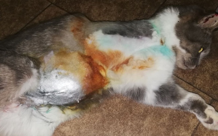 Zbiórka Być albo nie być naszej fundacji - zdjęcie główne