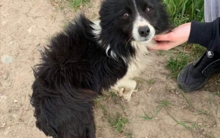 Zbiórka Odi zbiera na profilaktykę - zdjęcie główne