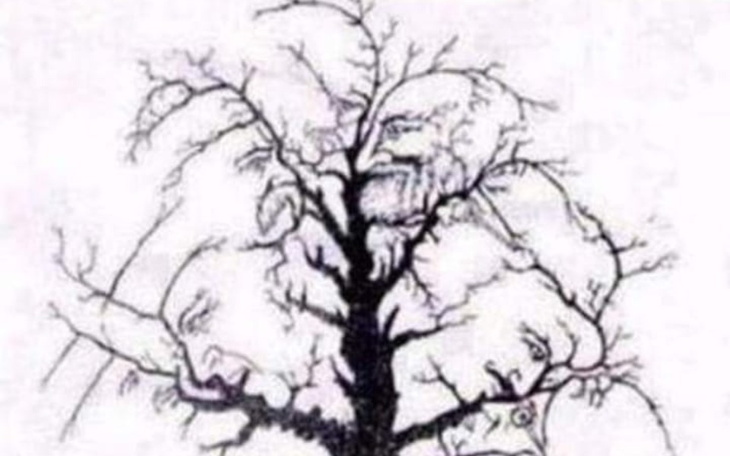 Zbiórka Młoda osoba prosi o wsparcie - zdjęcie główne