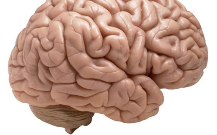 Zbiórka Mózgg - zdjęcie główne