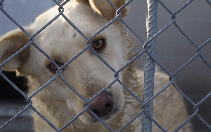 Zbiórka Mikołajkowy transport - zdjęcie główne