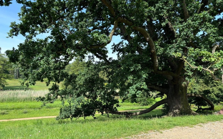 Zbiórka Na spełnienie marzeń Szwecja - zdjęcie główne