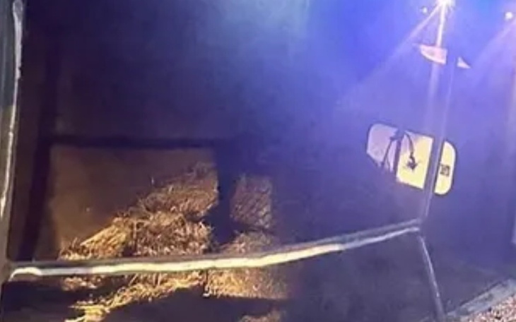 Zbiórka Bukhma konna - zdjęcie główne