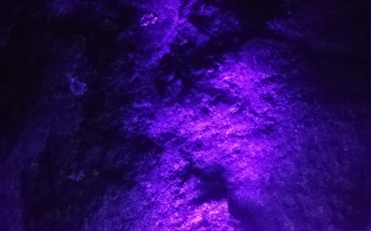 Zbiórka Badania nad starożytna cywilizac - zdjęcie główne