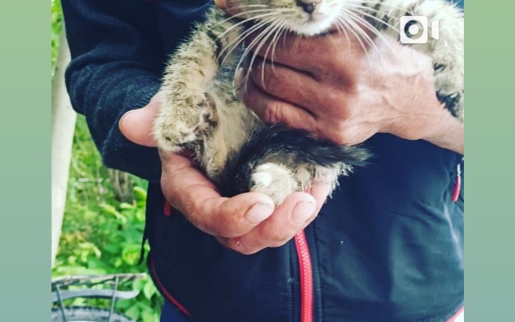 Zbiórka Kocietaa - zdjęcie główne
