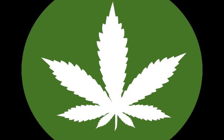 Zbiórka Marihuana medyczna - zdjęcie główne