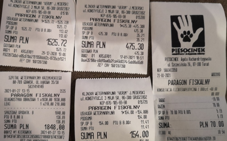 Zbiórka Wsparcie dla Nelusia - zdjęcie główne