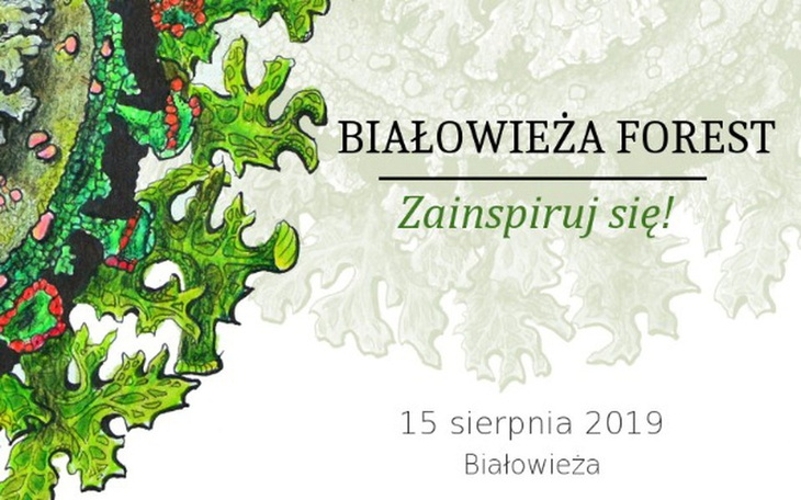 Zbiórka Białowieża Forest zainspiruj się - zdjęcie główne