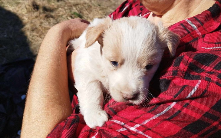 Zbiórka Rodzina z bel słomy - zdjęcie główne