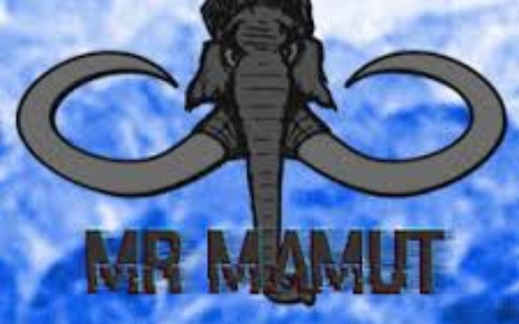 Zbiórka Na 18 urodziny Mamuta - zdjęcie główne